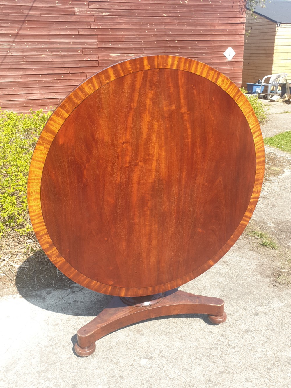 Regency mahogany and banded tip top pedestal table  View II
