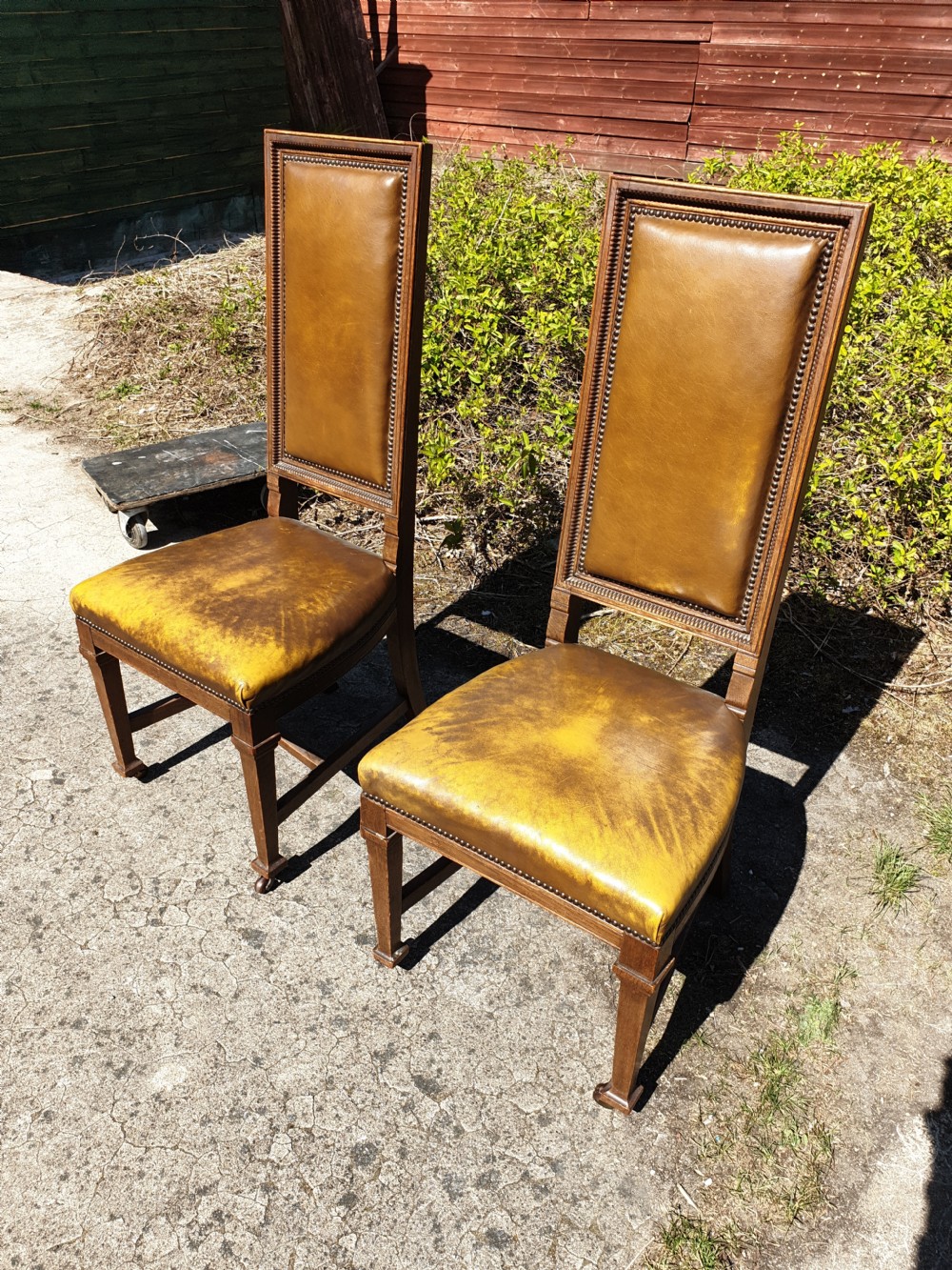 Pair of Late Victorian oak frame hall chairs. View IV
