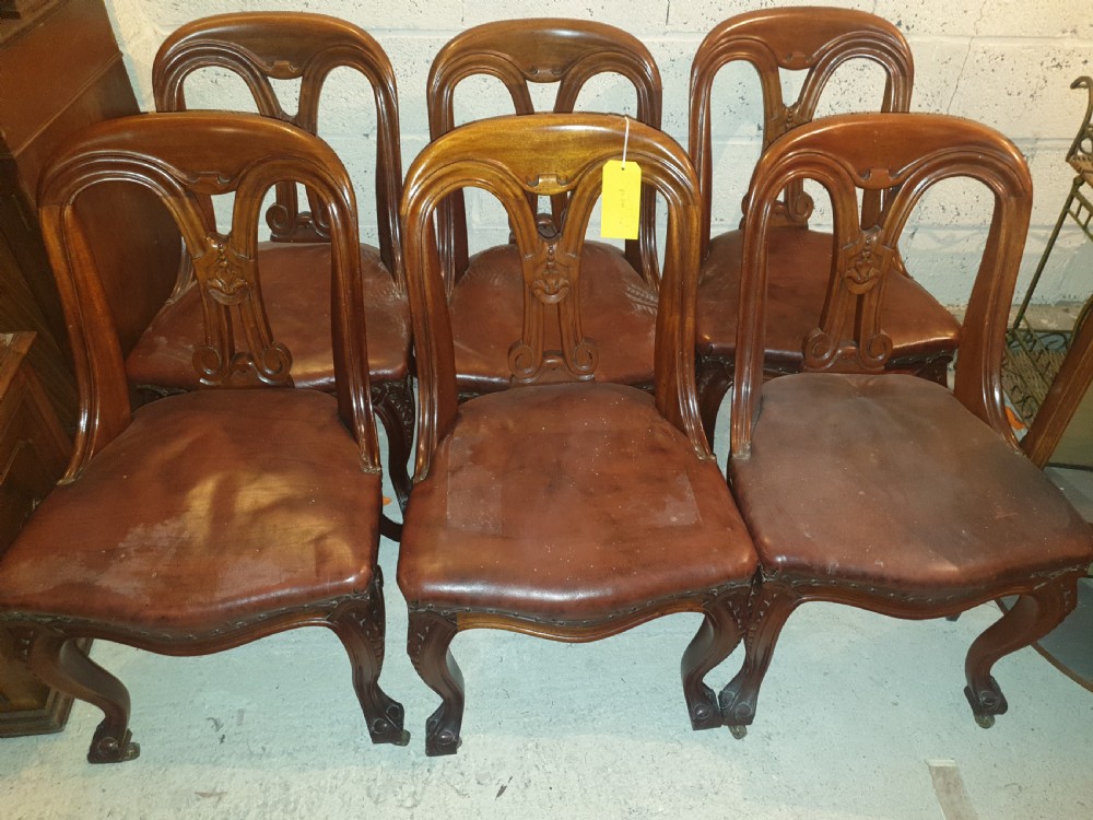 A set of six Victorian carved mahogany dining chairs featuring balloon backs, carved central splats, brown leather seats, and cabriole front legs.