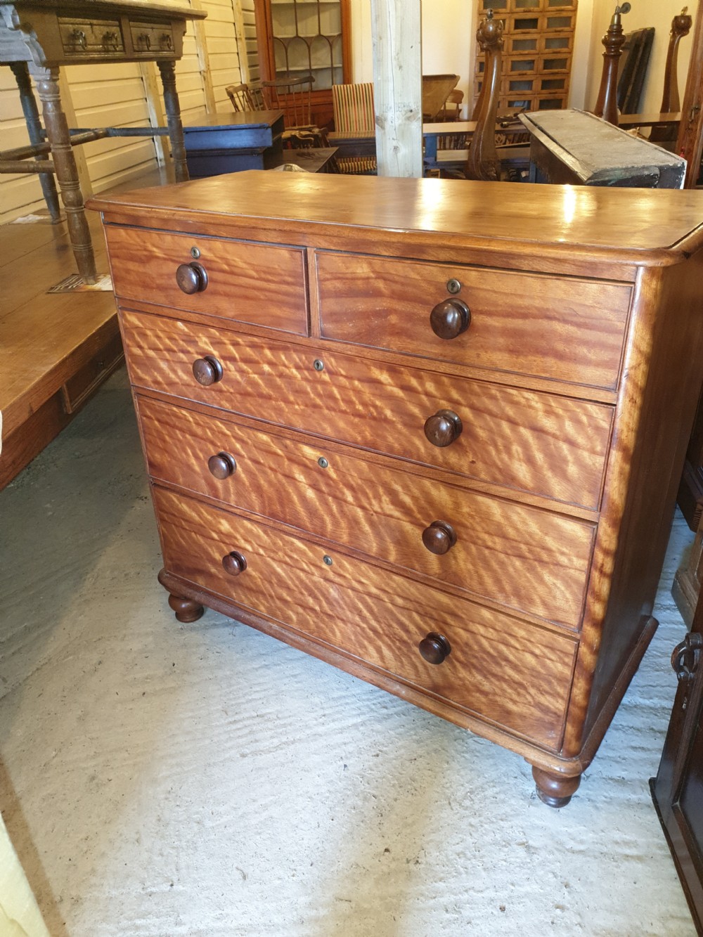 Victorian satinbirch chest of drawers. 
