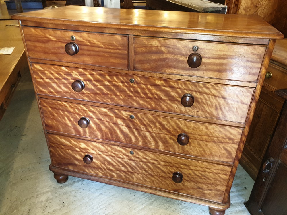 Victorian satinbirch chest of drawers.  View II