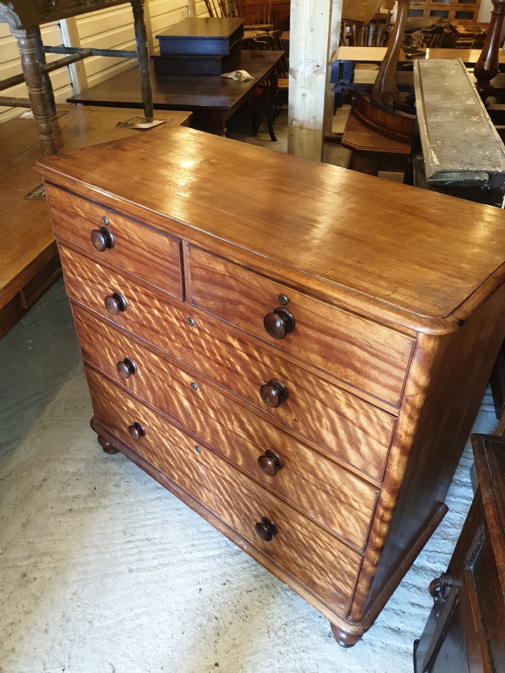 Victorian satinbirch chest of drawers.  View III