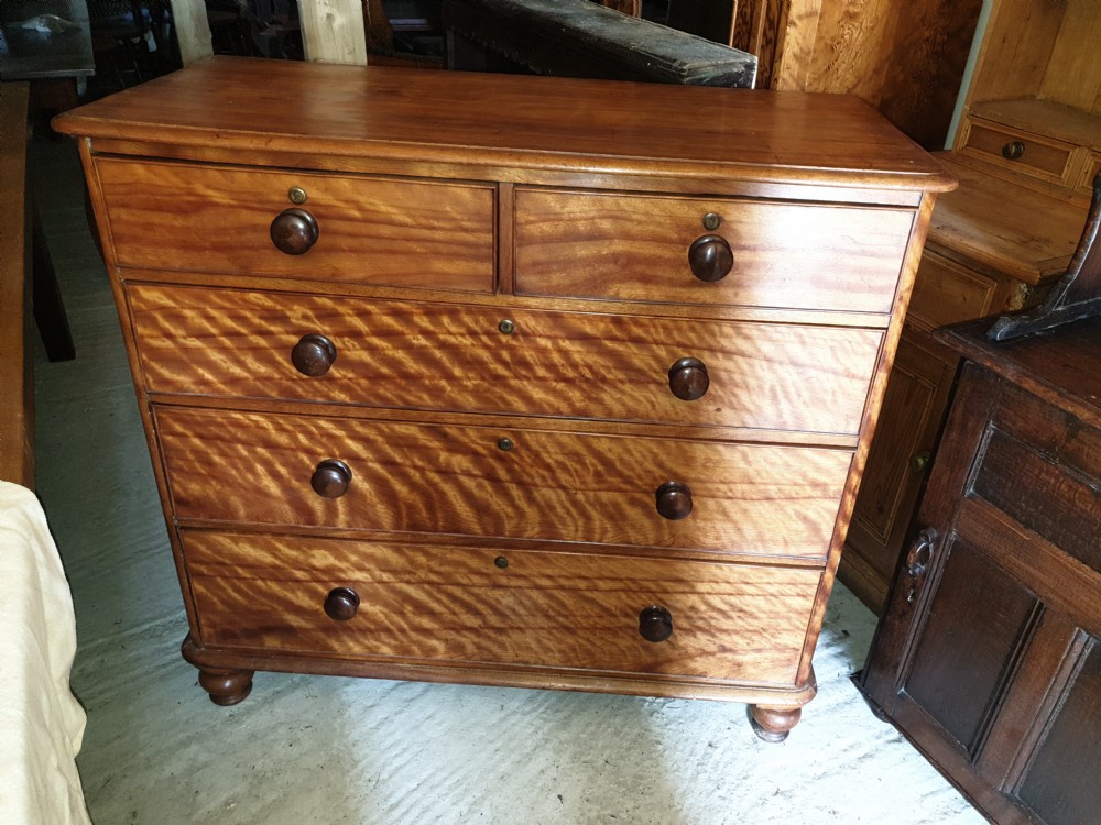 Victorian satinbirch chest of drawers.  View IV