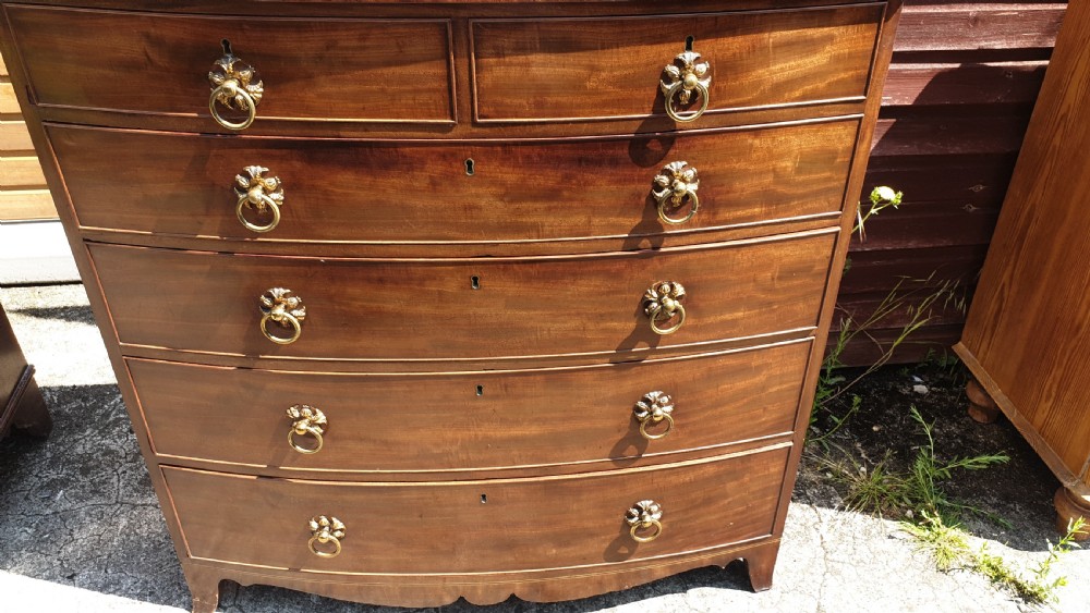 Regency mahogany bow front chest . View III