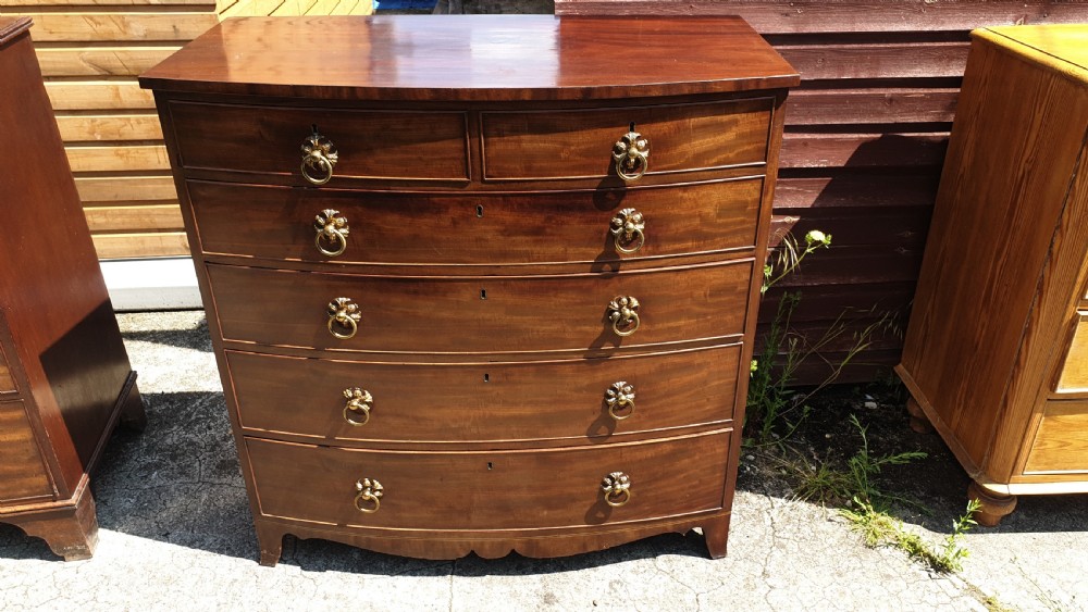 Regency mahogany bow front chest . View IV