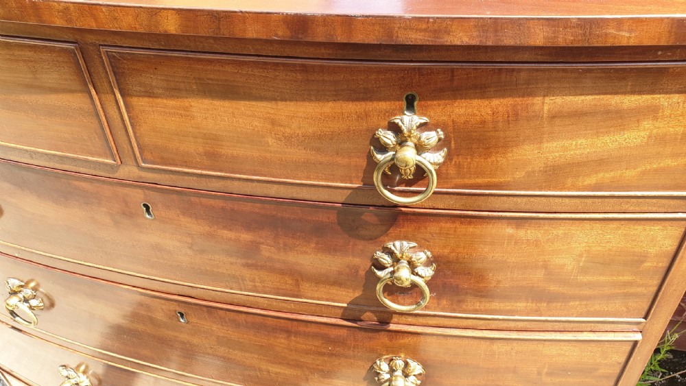Regency mahogany bow front chest . View VII