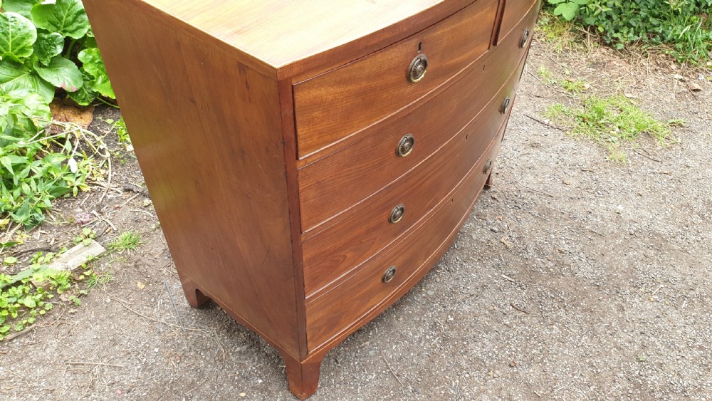Regency mahogany bow front chest of drawers.  View III