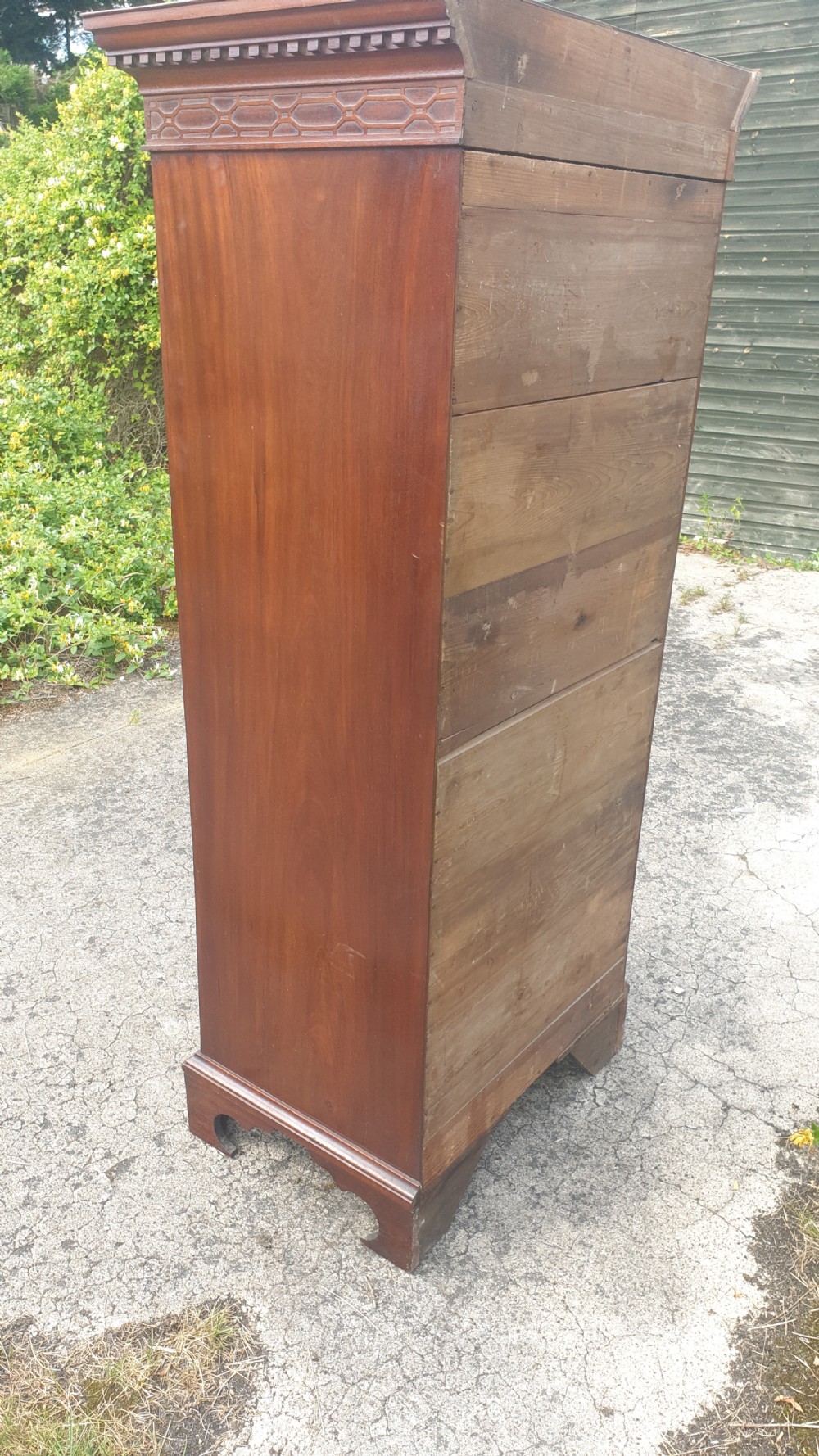 Edwardian tall 