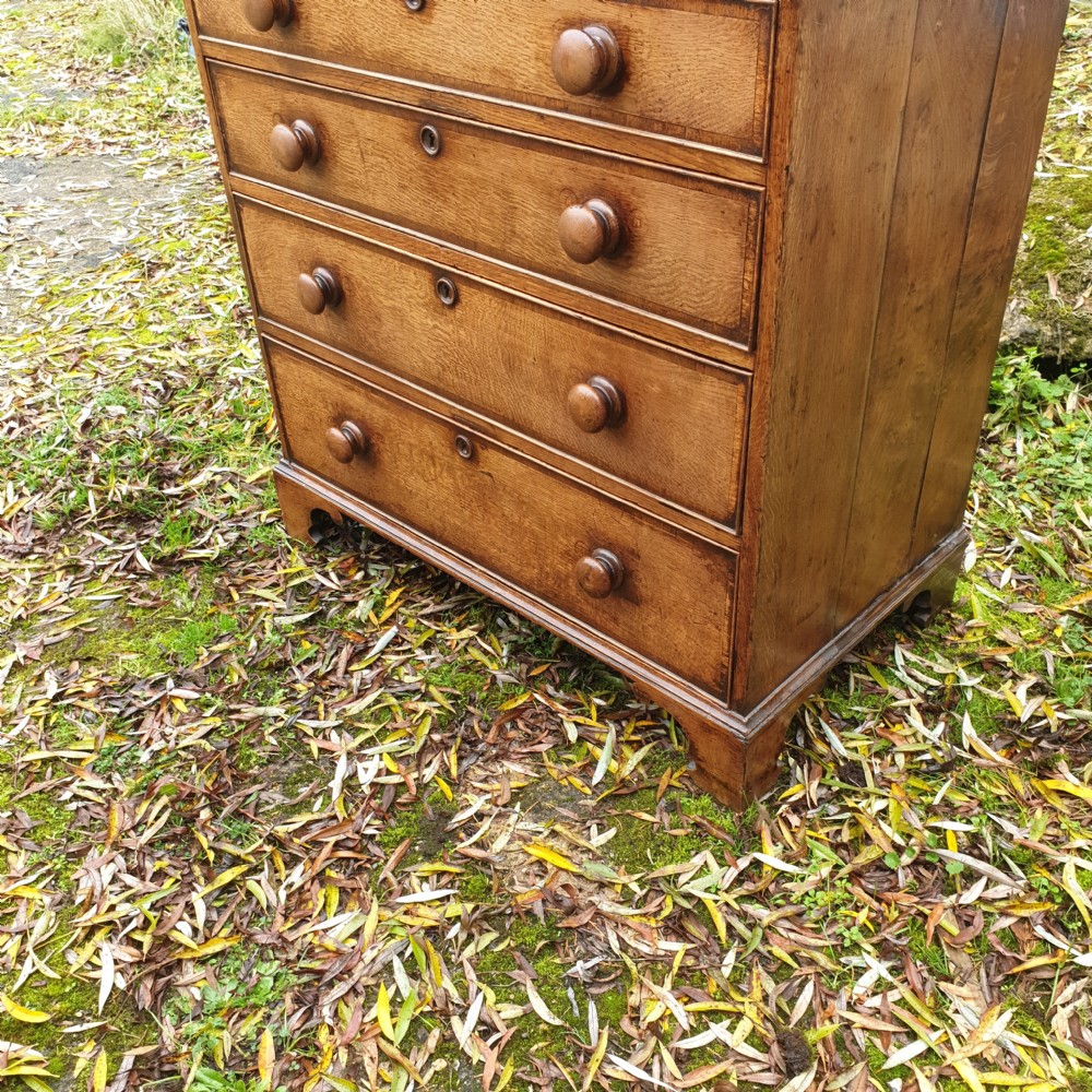 Late Georgian oak chest of 4 drawers  View III