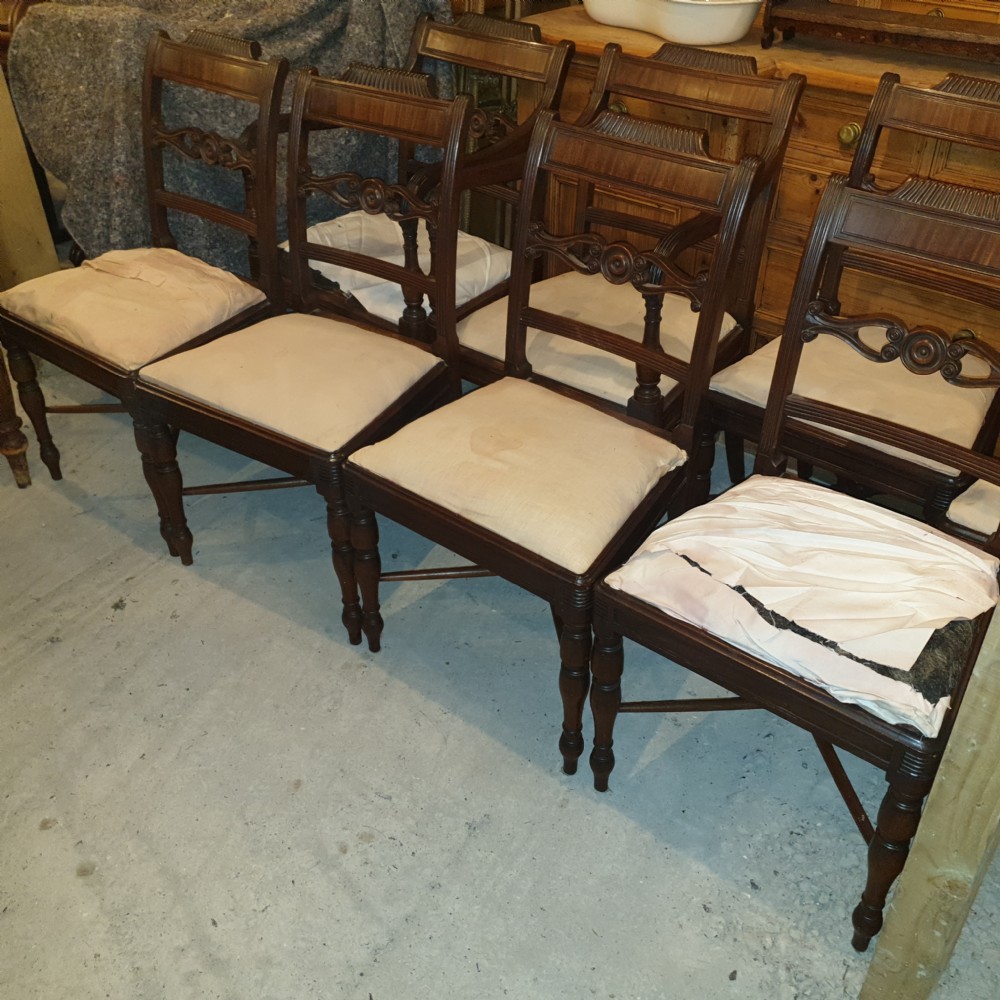 Set of eight Regency Scottish dining chairs  View V