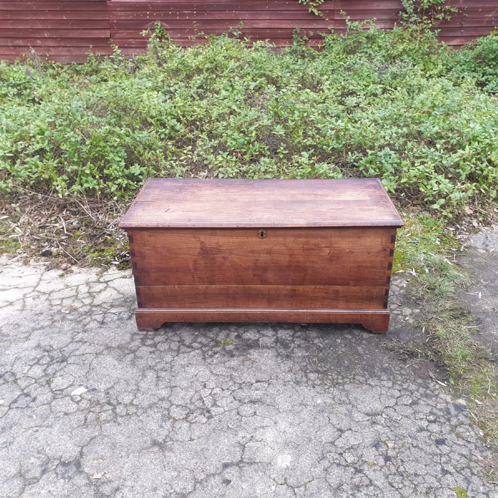 19th century trunk  View VI