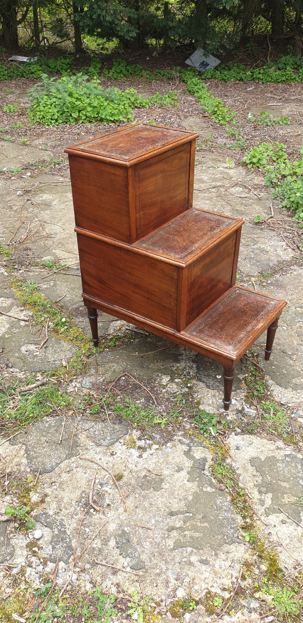 Good set of Regency mahogany library steps.
