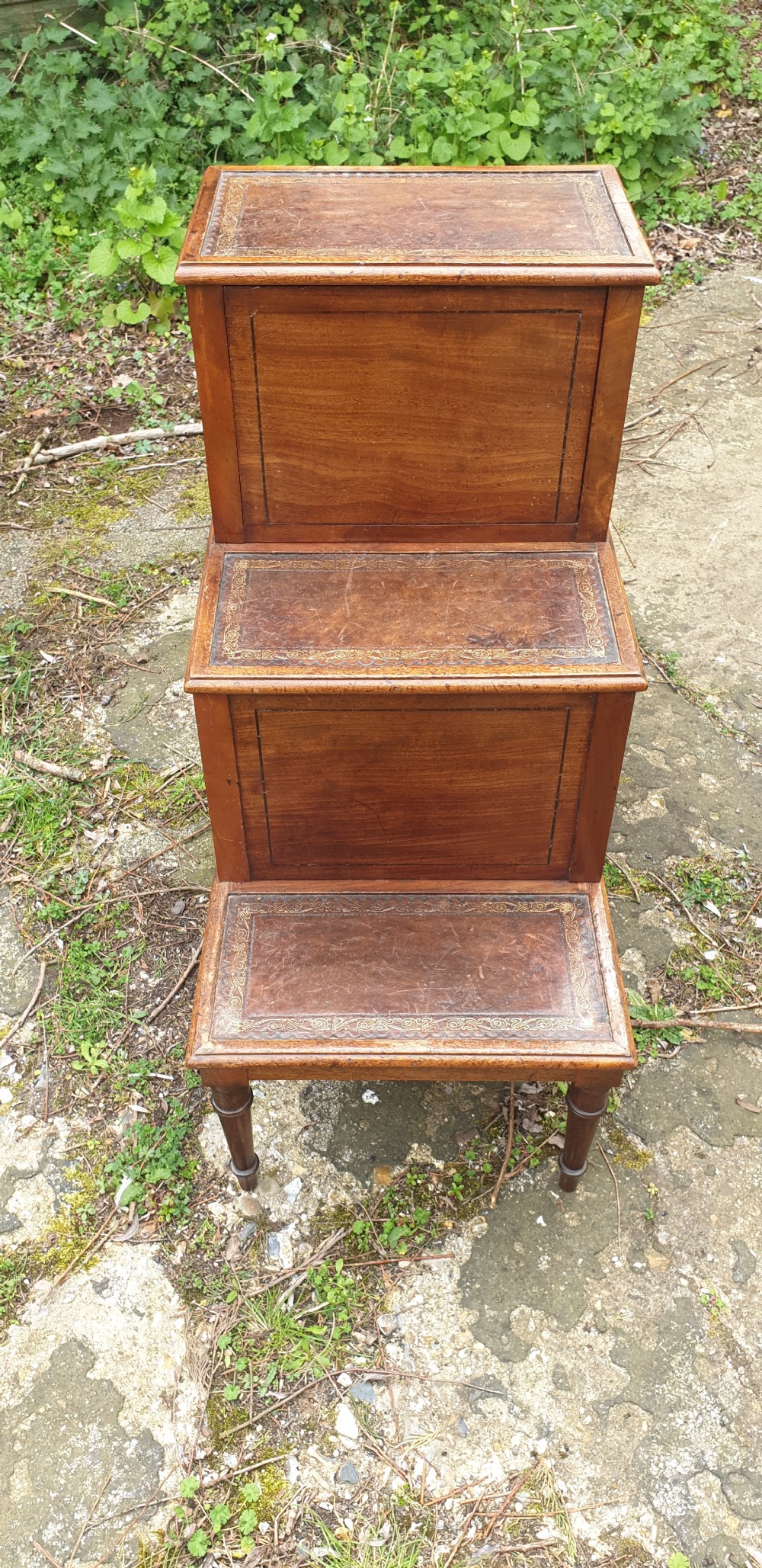 Good set of Regency mahogany library steps. View III