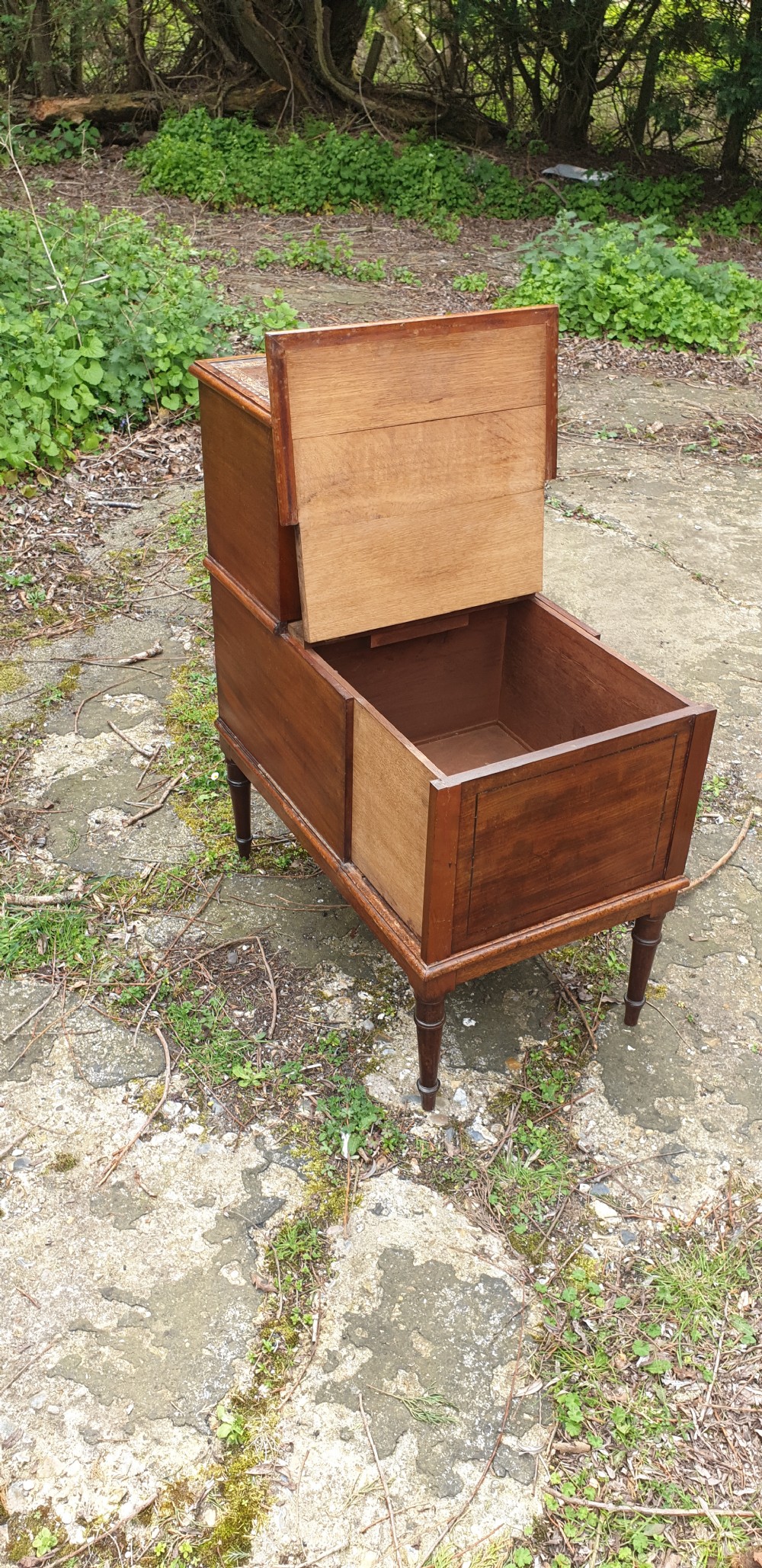 Good set of Regency mahogany library steps. View IV