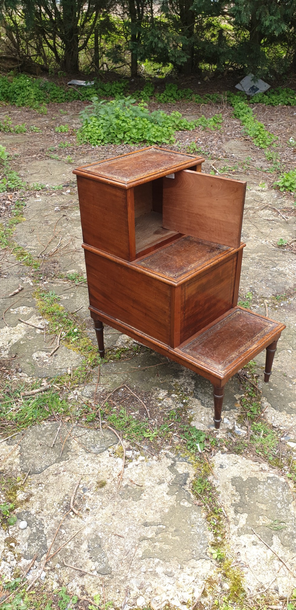 Good set of Regency mahogany library steps. View V