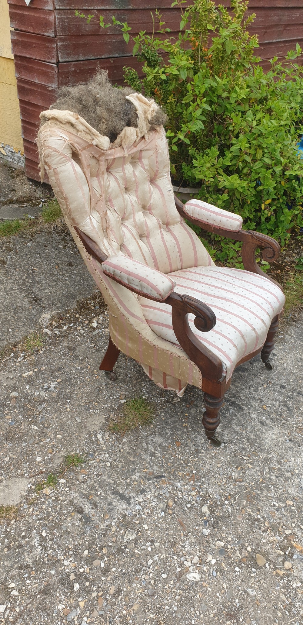Early Victorian rosewood framed upholstered armchair. 