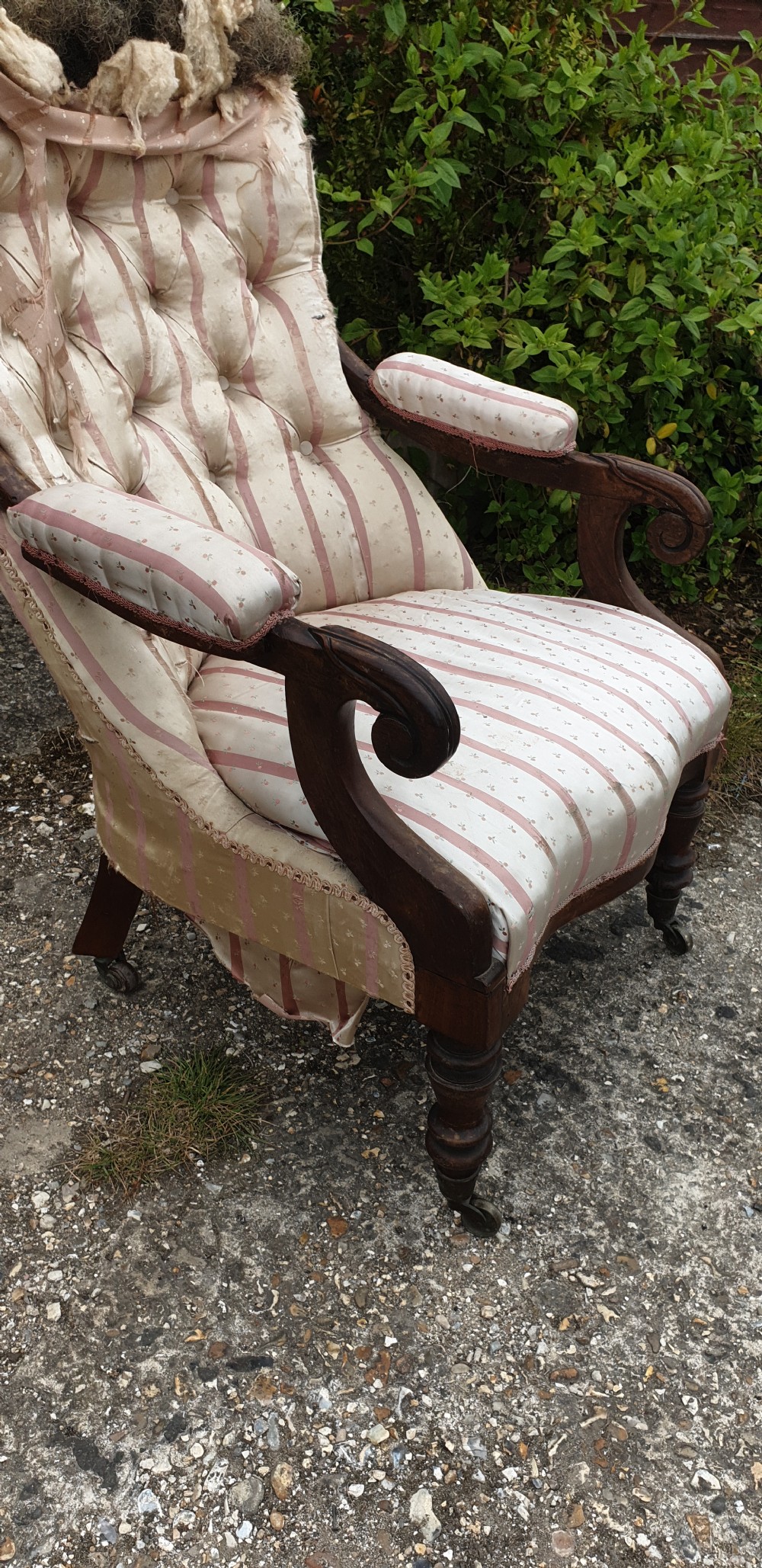 Early Victorian rosewood framed upholstered armchair.  View II