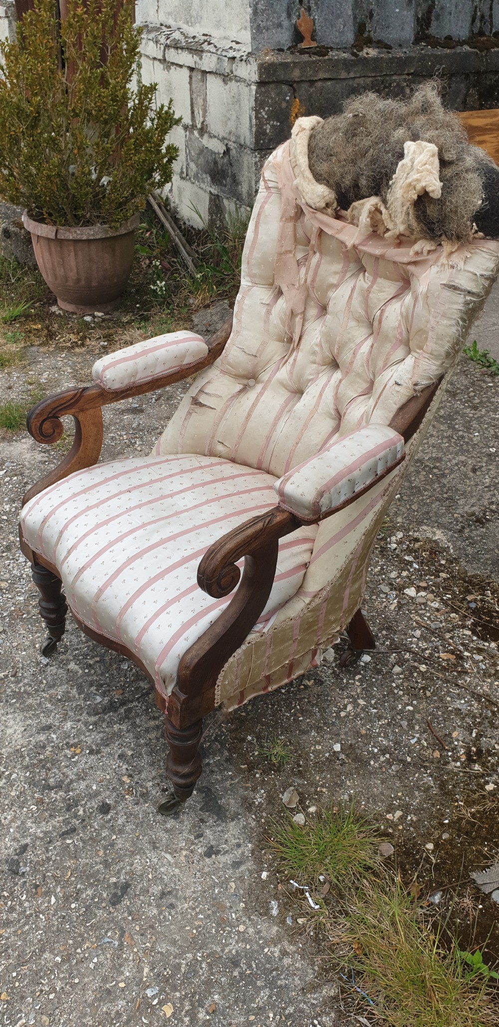 Early Victorian rosewood framed upholstered armchair.  View III