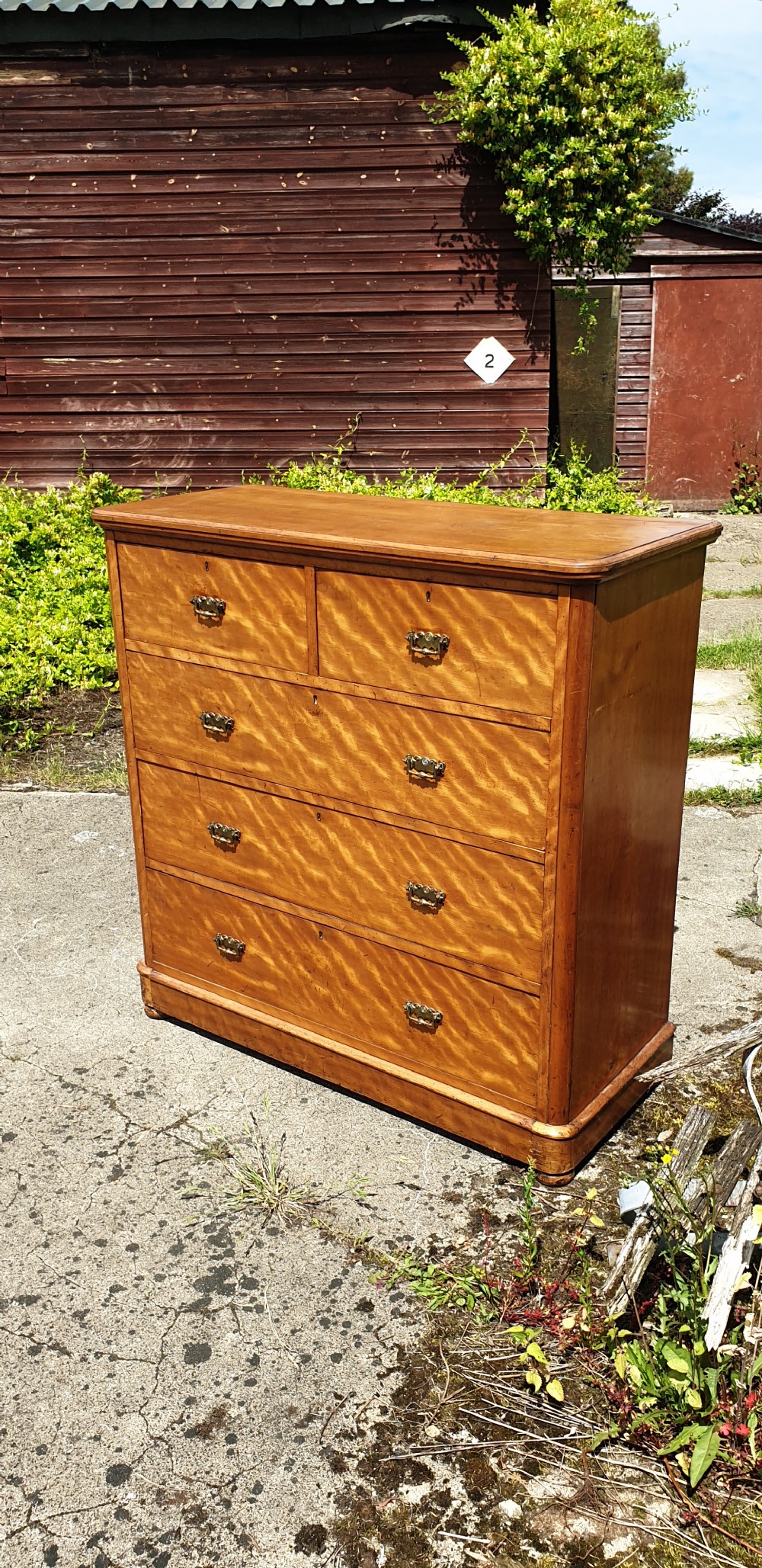 Victorian satinbirch chest of drawers. 