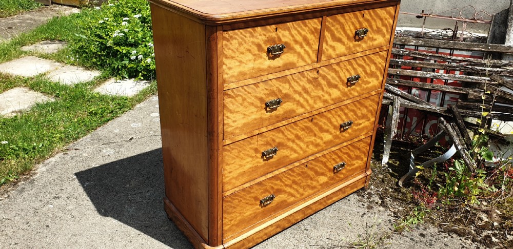 Victorian satinbirch chest of drawers.  View III