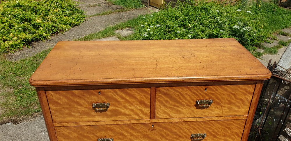 Victorian satinbirch chest of drawers.  View IV