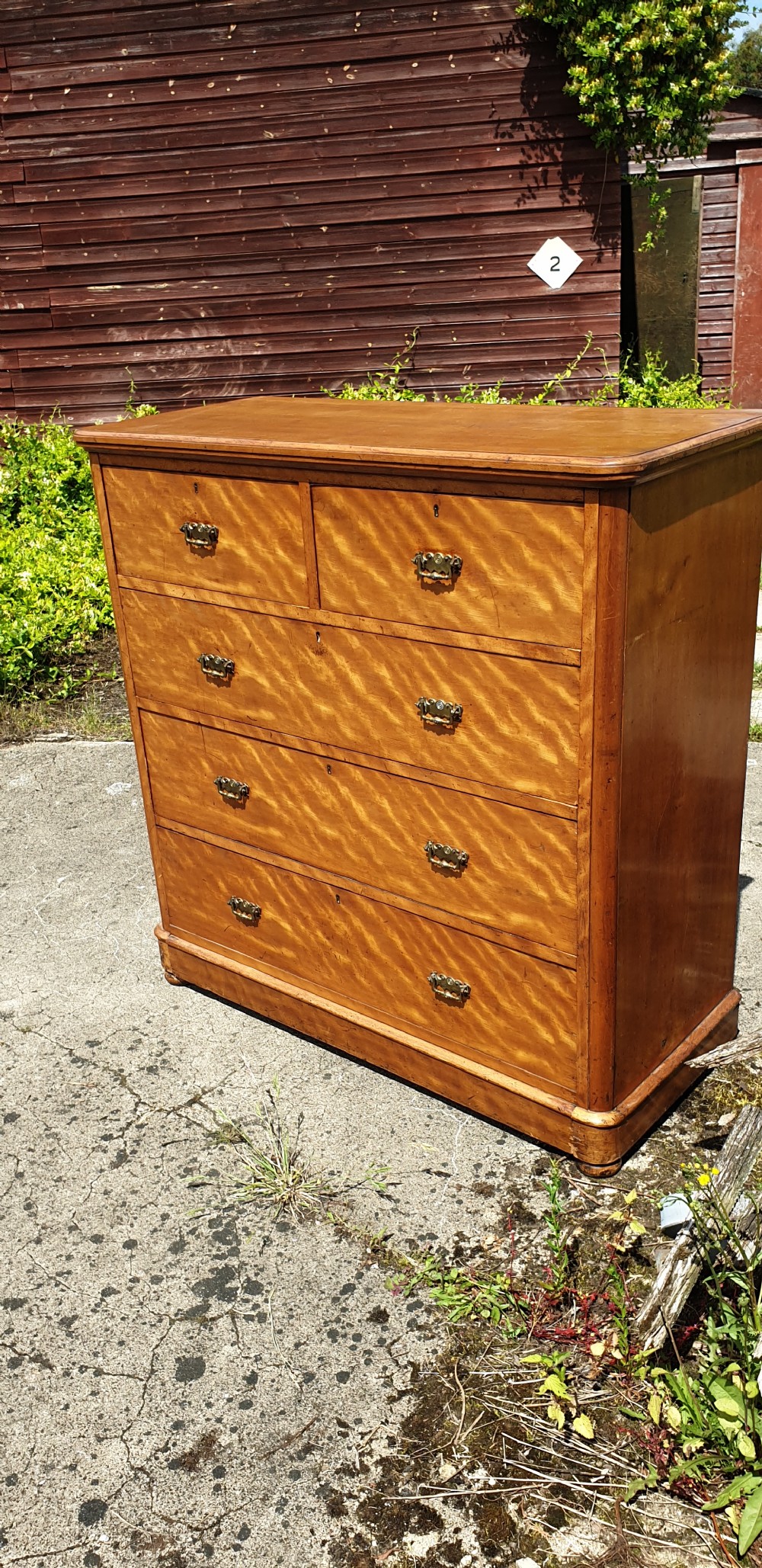 Victorian satinbirch chest of drawers.  View VIII