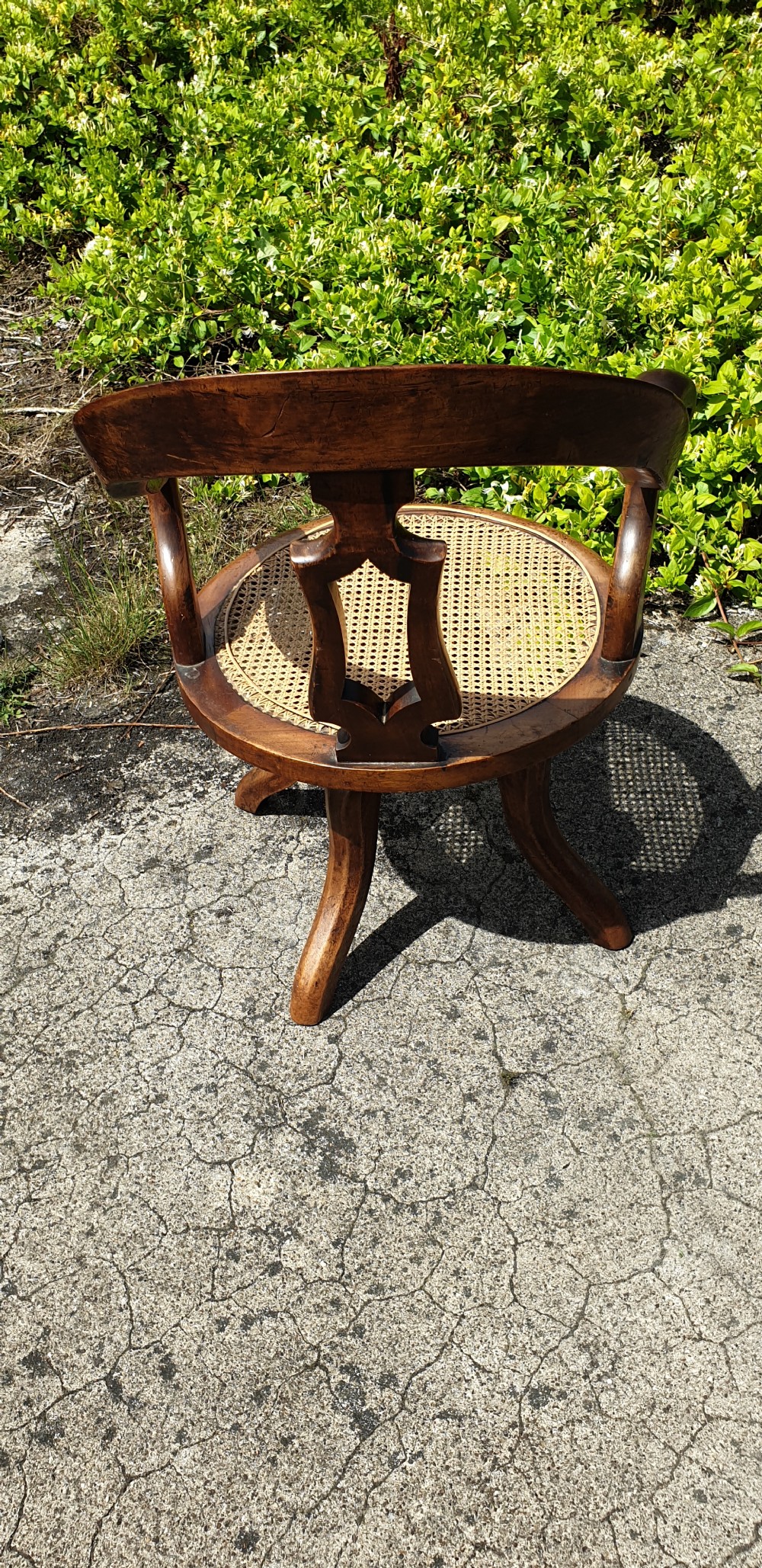 Victorian revolving cane seat desk armchair.  View II