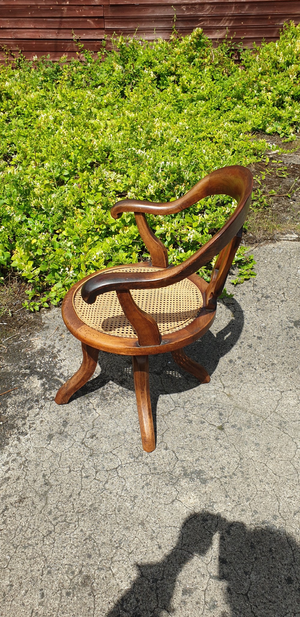 Victorian revolving cane seat desk armchair.  View VII