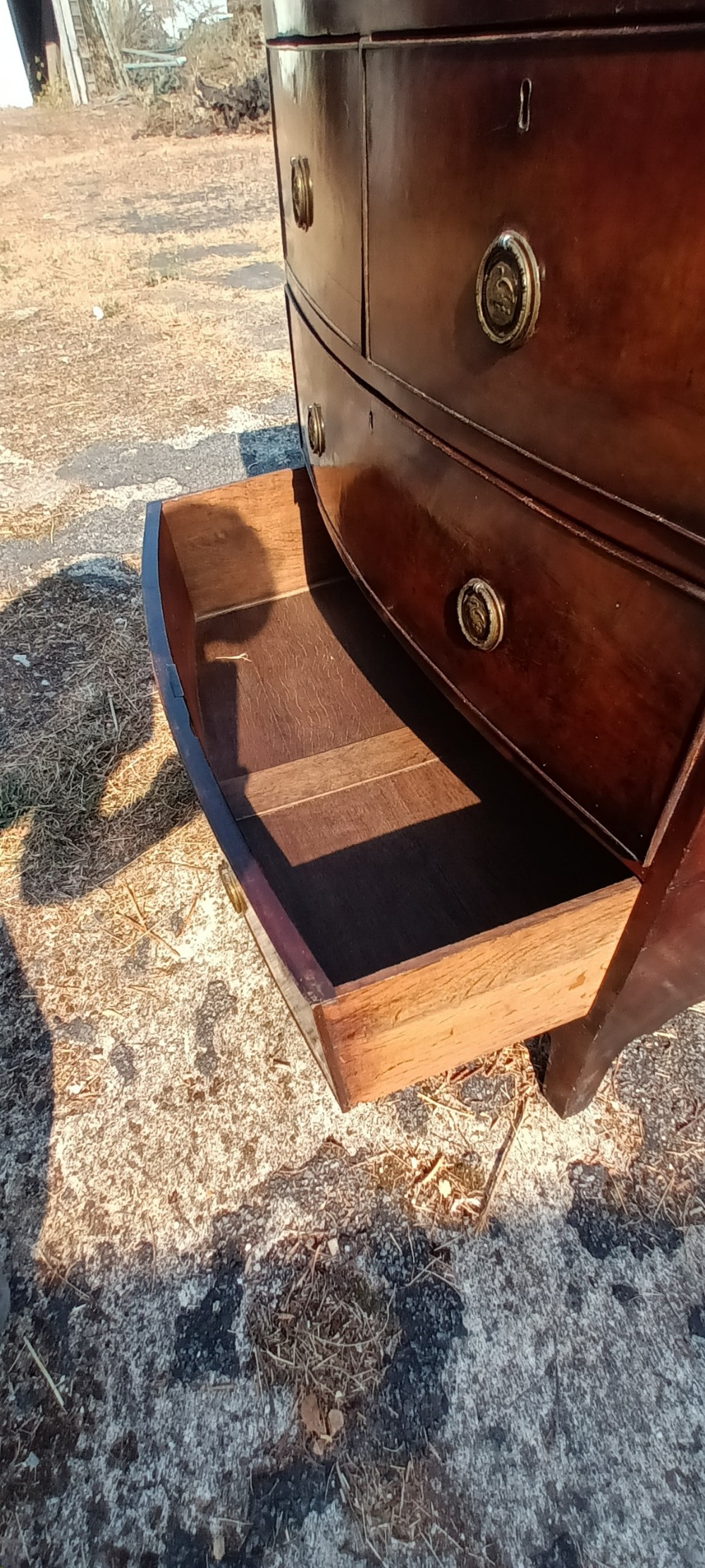 Regency mahogany bow front chest of drawers.  View VI