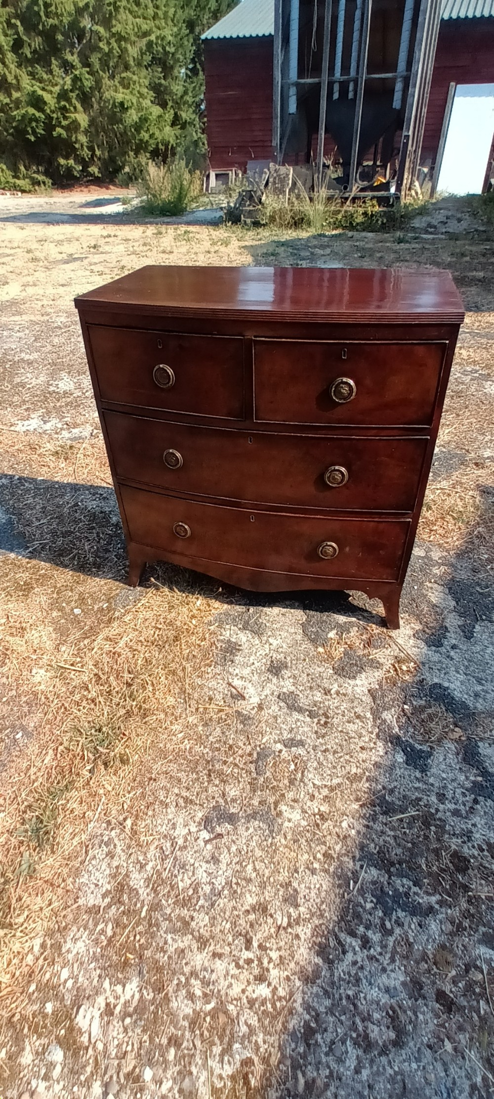 Regency mahogany bow front chest of drawers.  View VIII