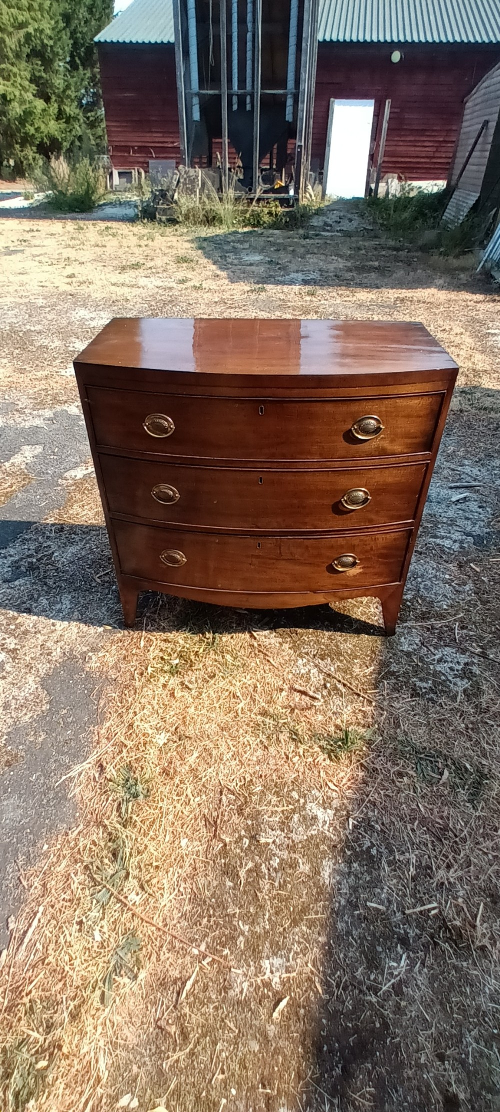 Early Victorian mahogany bow front chest of drawers. View VI