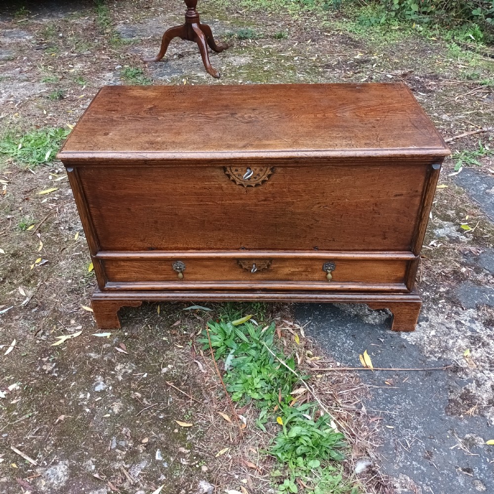 Small Elm coffer chest