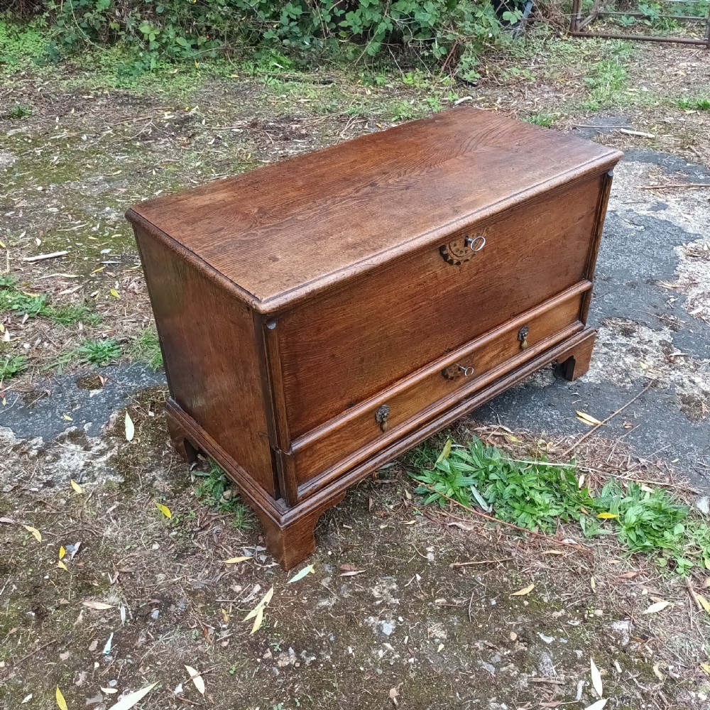Small Elm coffer chest View IV