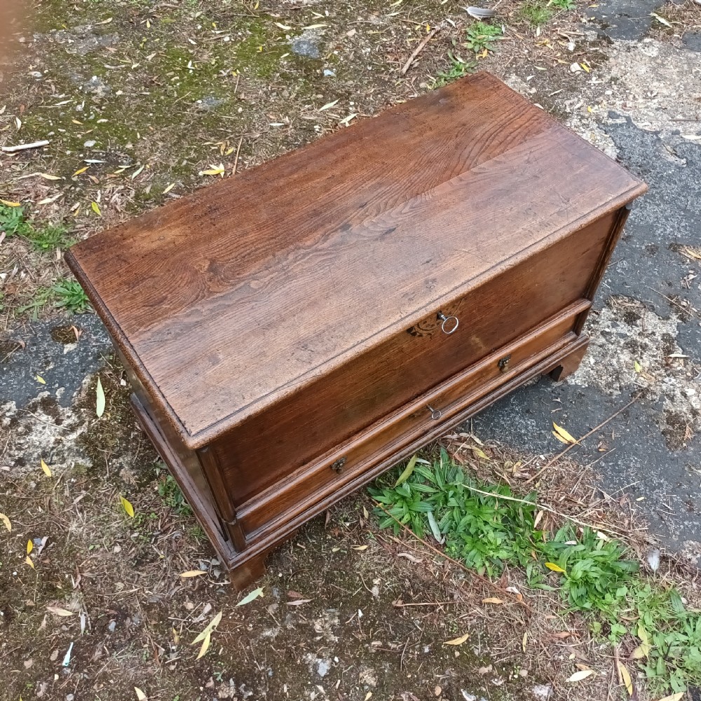 Small Elm coffer chest View V