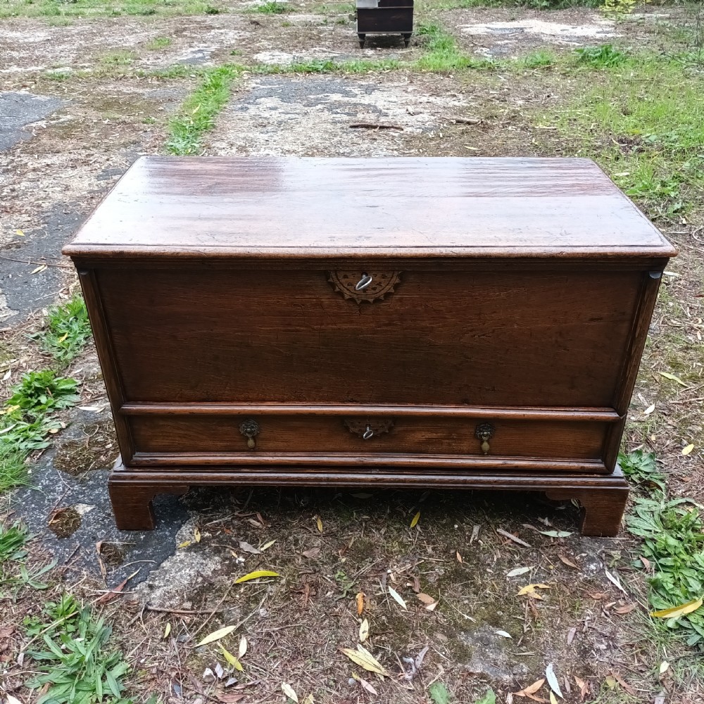 Small Elm coffer chest View VII