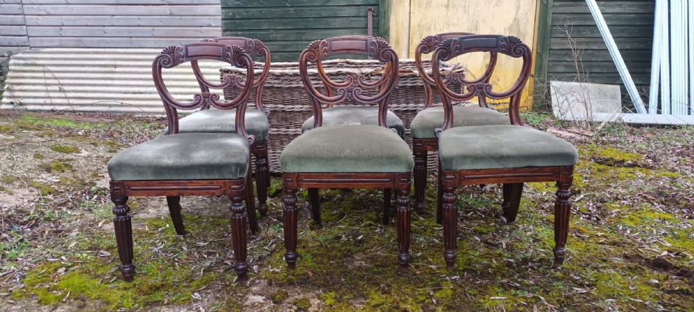 A set of six dark mahogany Regency dining chairs featuring scroll-carved open backs and green velvet upholstered seats.