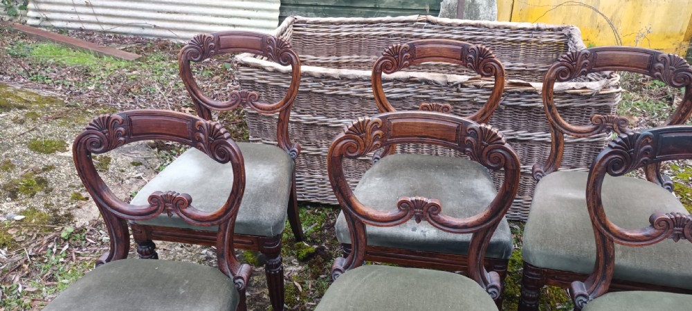 A set of six dark mahogany Regency dining chairs featuring scroll-carved open backs and green velvet upholstered seats. View VI