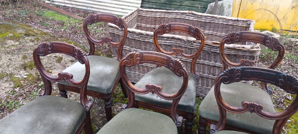 A set of six dark mahogany Regency dining chairs featuring scroll-carved open backs and green velvet upholstered seats. View XI