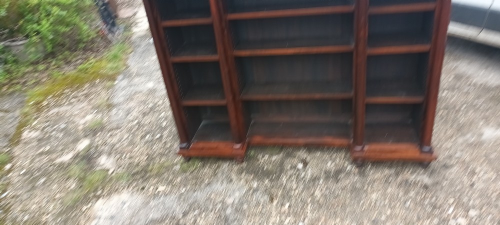 Early Victorian rosewood open bookcase  View III