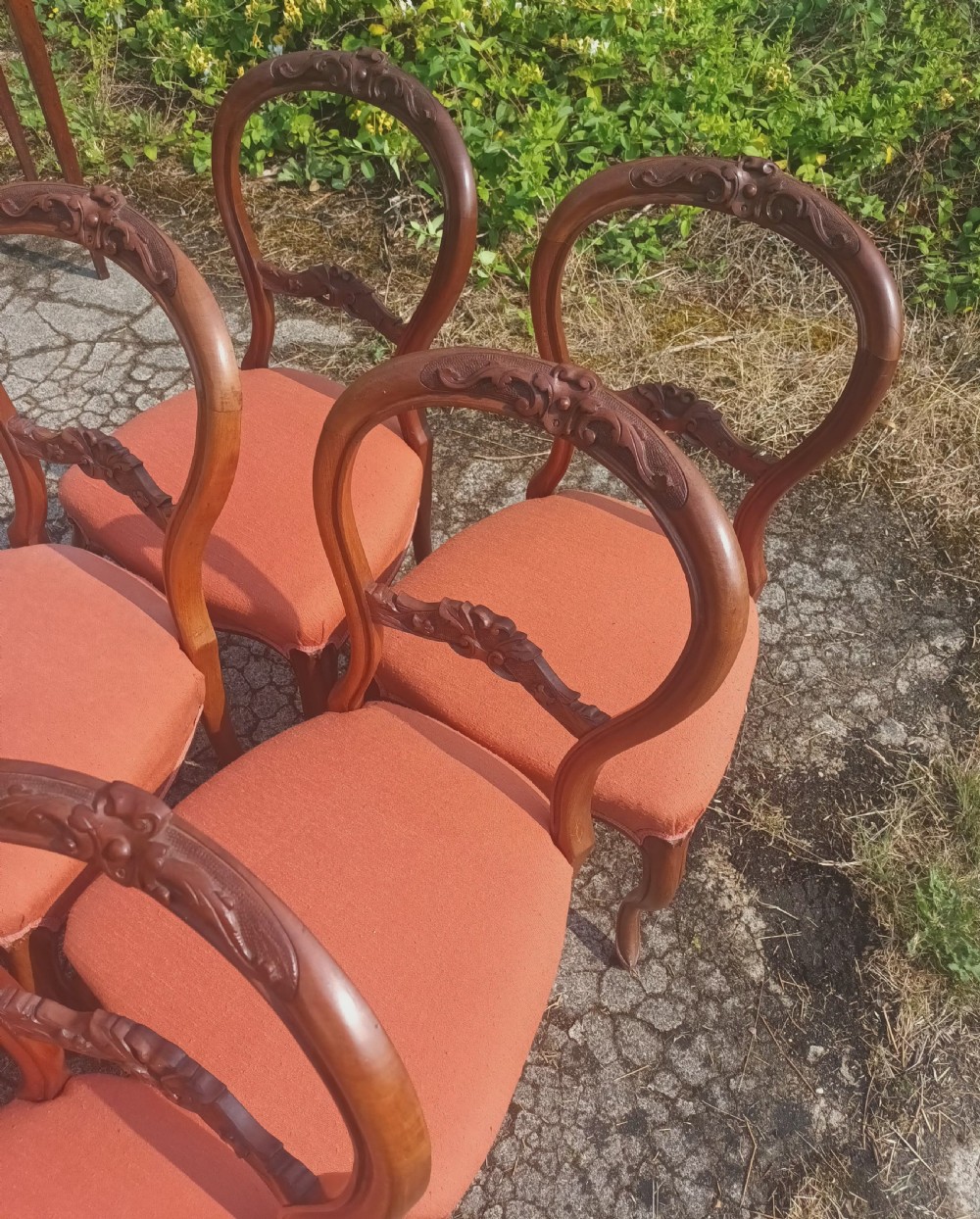 Set of 6 late Victorian walnut balloon back chairs. View IV
