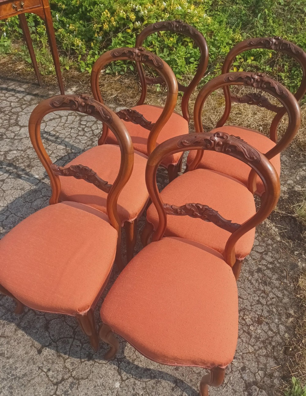Set of 6 late Victorian walnut balloon back chairs. View V