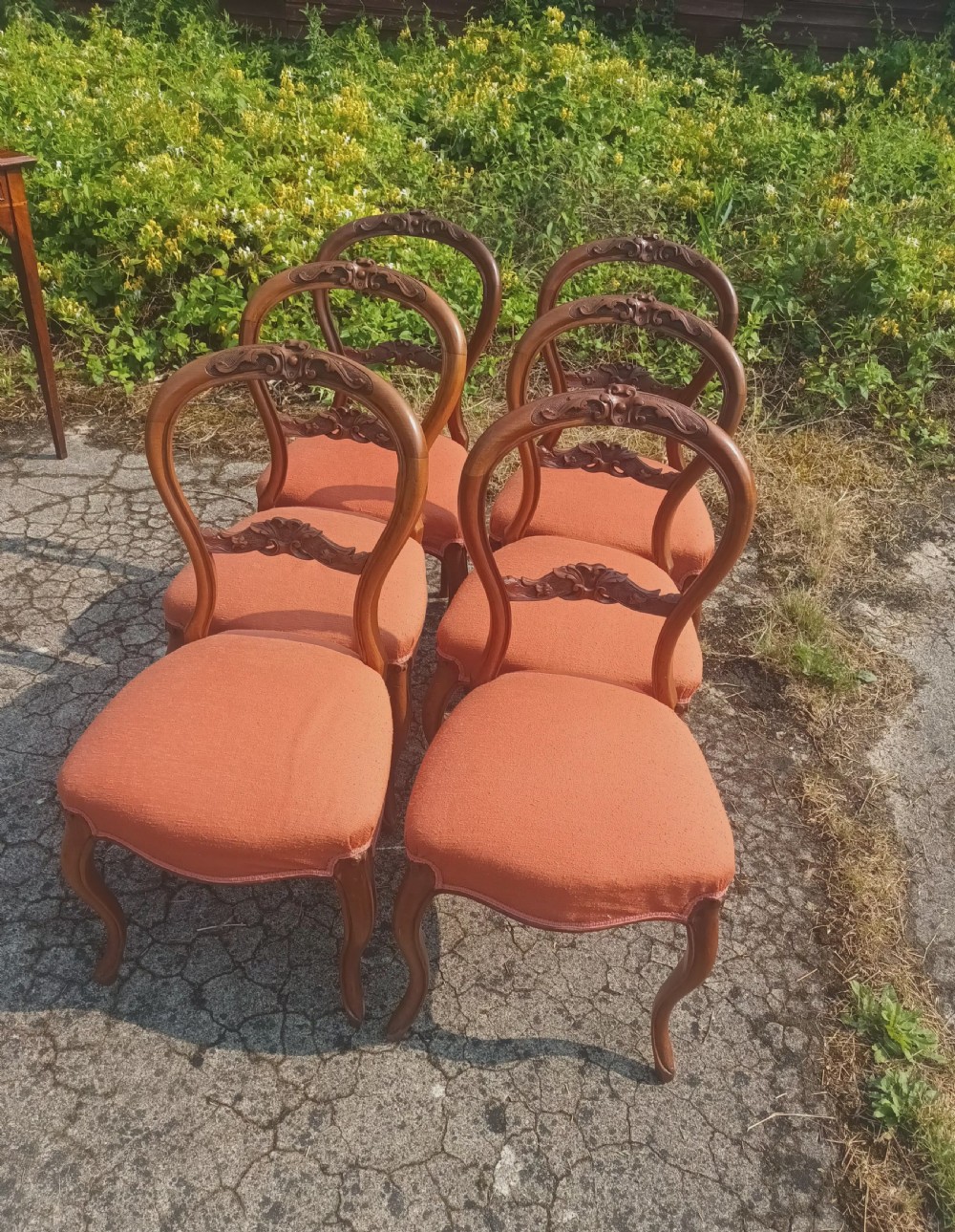 Set of 6 late Victorian walnut balloon back chairs. View IX