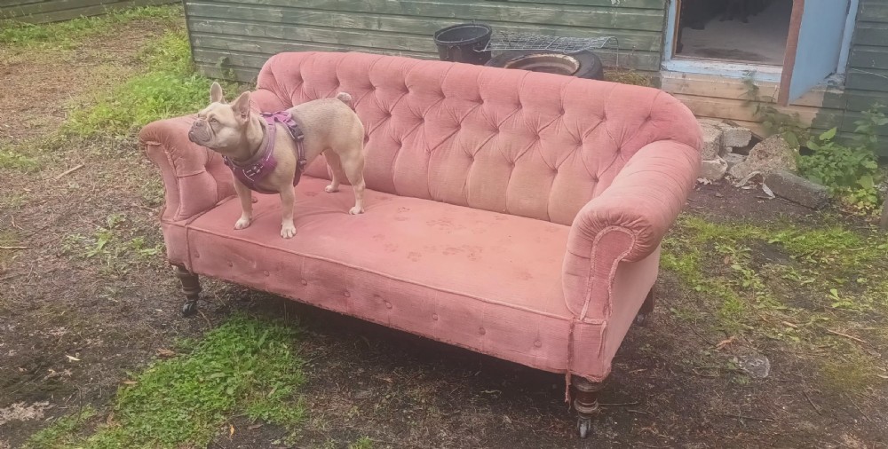 Late Victorian upholstered 2 seater sofa. View VI