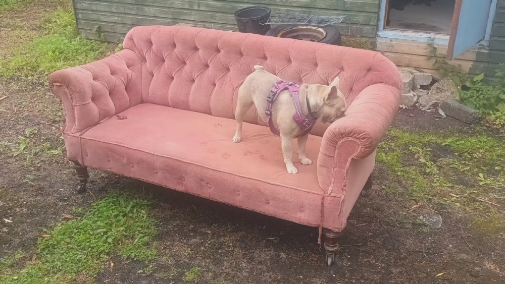 Late Victorian upholstered 2 seater sofa. View VII