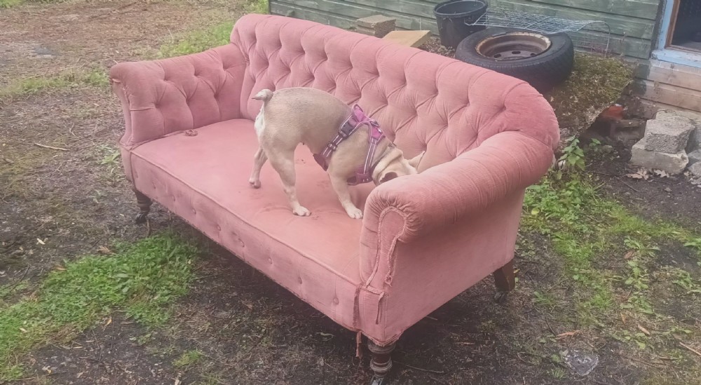 Late Victorian upholstered 2 seater sofa. View VIII