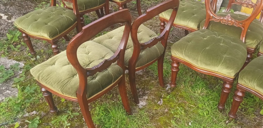 Set of 10 Victorian mahogany balloon back dining chairs. View VII