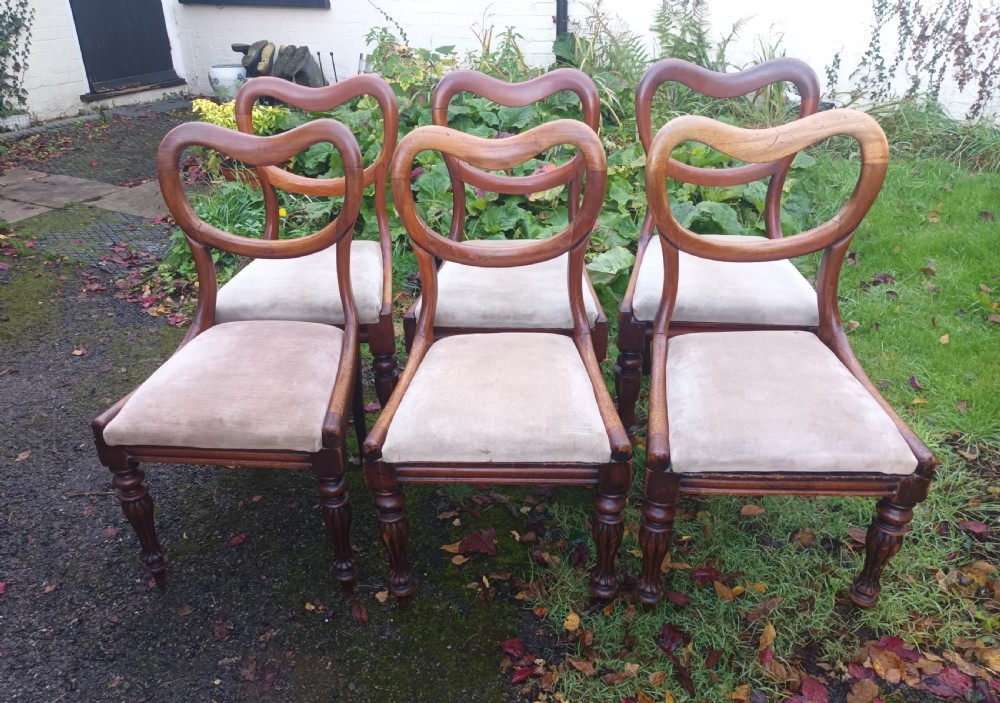 6 early Victorian mahogany dining chairs.  View II