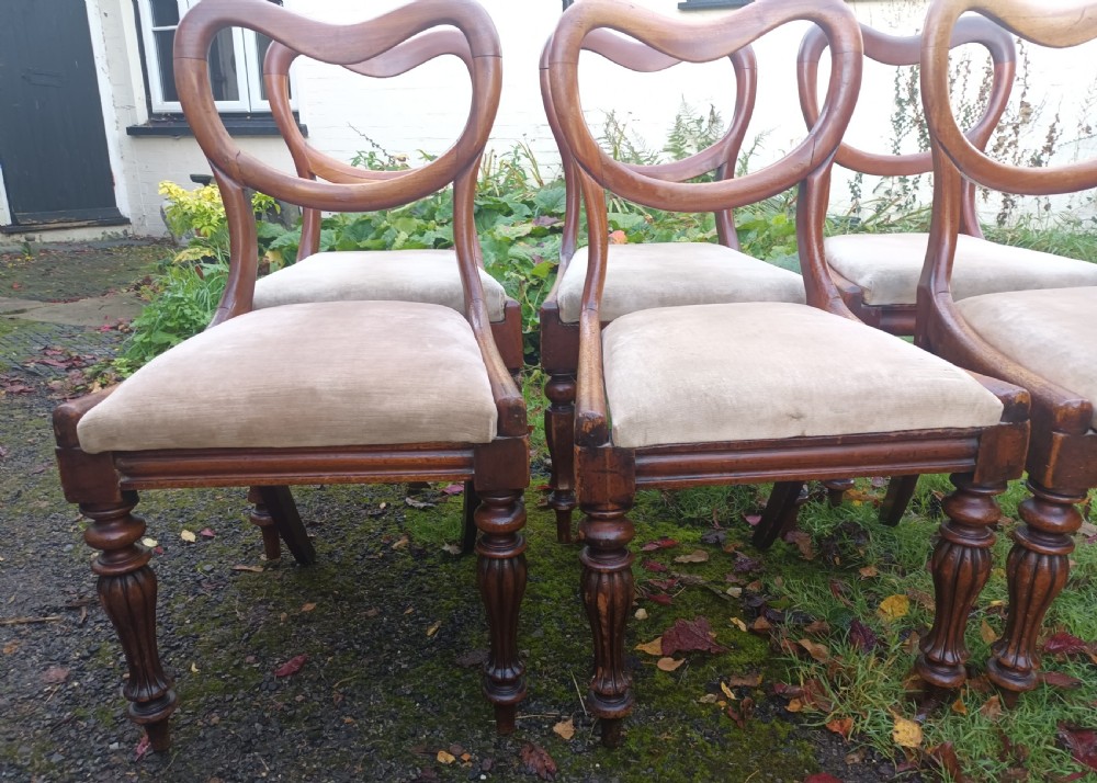 6 early Victorian mahogany dining chairs.  View IV