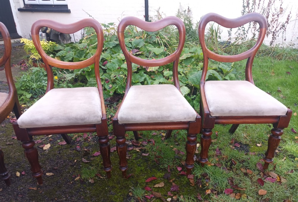 6 early Victorian mahogany dining chairs.  View V