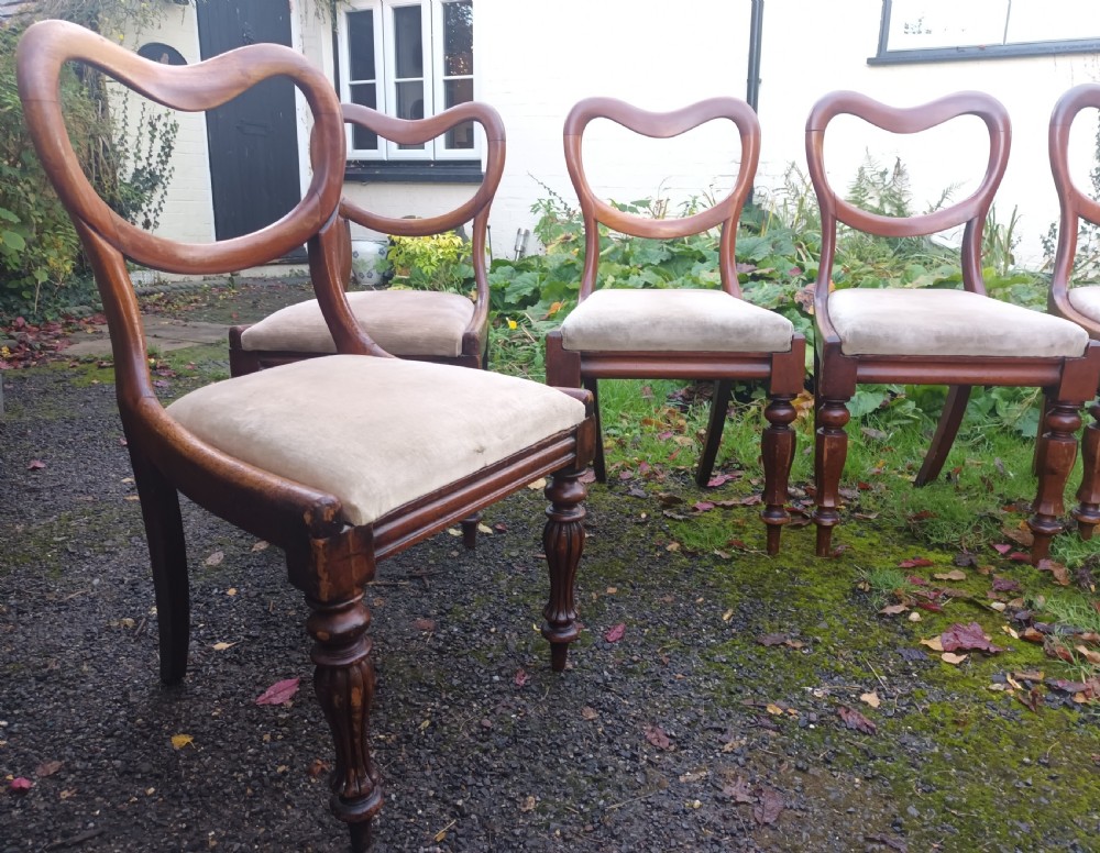 6 early Victorian mahogany dining chairs.  View VI